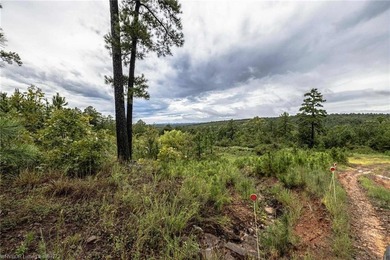 Enjoy secluded mountain views with a pond on this beautiful 16 - photo 17