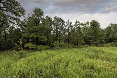 Enjoy secluded mountain views with a pond on this beautiful 16 - photo 18