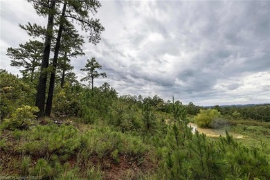 Enjoy secluded mountain views with a pond on this beautiful 16 - photo 19