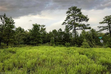 Enjoy secluded mountain views with a pond on this beautiful 16 - photo 20