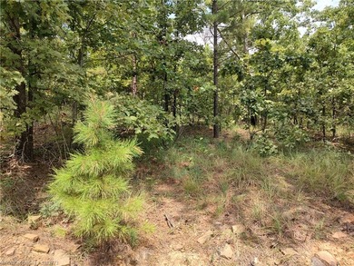 Enjoy secluded mountain views with a pond on this beautiful 16 - photo 21