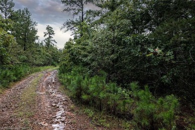 Enjoy secluded mountain views with a pond on this beautiful 16 - photo 22