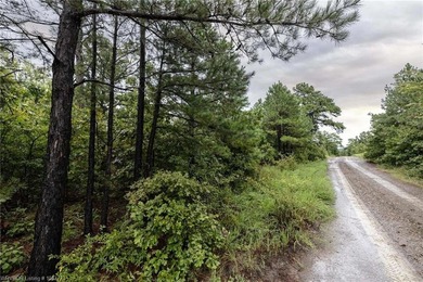Enjoy secluded mountain views with a pond on this beautiful 16 - photo 23