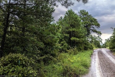 Enjoy secluded mountain views with a pond on this beautiful 16 - photo 26