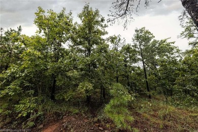 Enjoy secluded mountain views with a pond on this beautiful 16 - photo 27