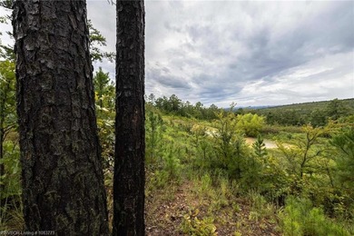 Enjoy secluded mountain views with a pond on this beautiful 16 - photo 28