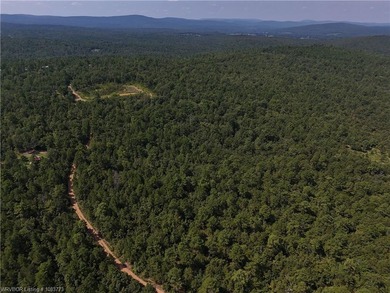 Enjoy secluded mountain views with a pond on this beautiful 16 - photo 29