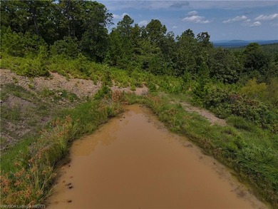 Enjoy secluded mountain views with a pond on this beautiful 16 - photo 33