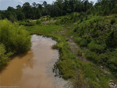 Enjoy secluded mountain views with a pond on this beautiful 16 - photo 34