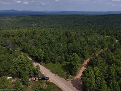 Enjoy secluded mountain views with a pond on this beautiful 16 - photo 36