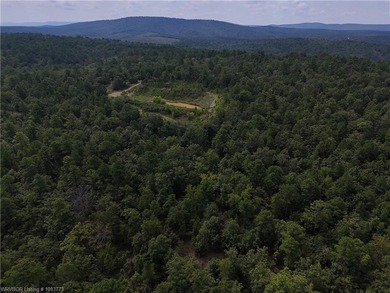 Enjoy secluded mountain views with a pond on this beautiful 16 - photo 37