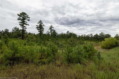Enjoy secluded mountain views with a pond on this beautiful 16 - photo 41
