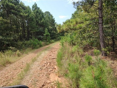 Enjoy secluded mountain views with a pond on this beautiful 16 - photo 42