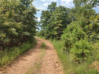 Enjoy secluded mountain views with a pond on this beautiful 16 - photo 43