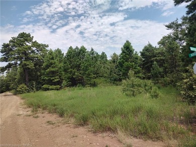 Enjoy secluded mountain views with a pond on this beautiful 16 - photo 44