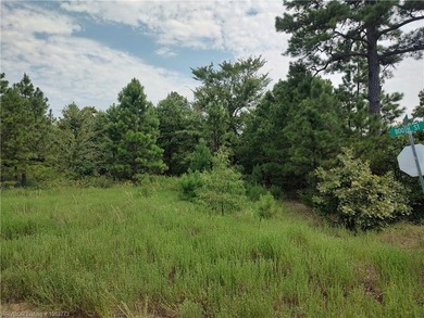 Enjoy secluded mountain views with a pond on this beautiful 16 - photo 45