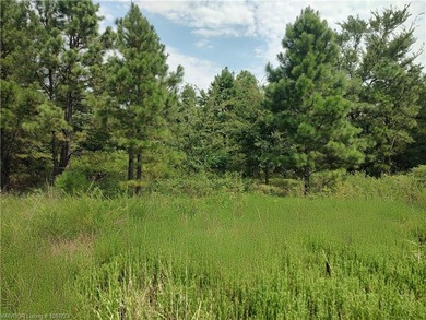 Enjoy secluded mountain views with a pond on this beautiful 16 - photo 46