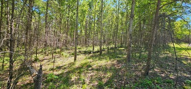 Great lots in Fredonia Mountain Nature Resort. These lots have a - photo 11