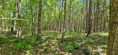 Great lots in Fredonia Mountain Nature Resort. These lots have a - photo 12