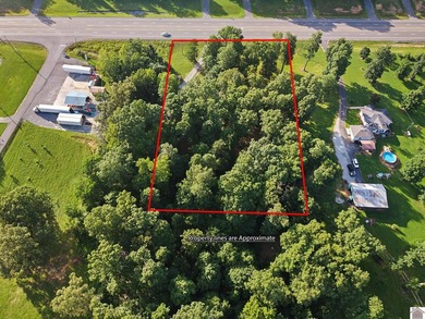 Space, privacy, and an unbeatable location! This 2-3 bedroom - photo 2
