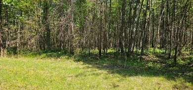 Great lots in Fredonia Mountain Nature Resort. These lots have a - photo 13