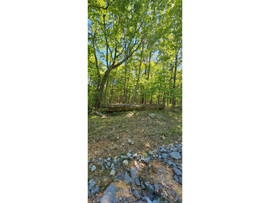 Great lots in Fredonia Mountain Nature Resort. These lots have a - photo 14