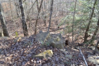 5 AC ON THE CUMBERLAND PLATEAU W/ FRONTAGE ON E. OBEY RIVER SOLD - photo 10