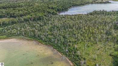 Lake Acreage For Sale in Honor, Michigan