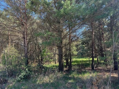 Lake Michigan - Muskegon County Lot For Sale in Montague Michigan