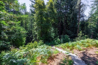 Nicely tucked back on approximately 2.8 peaceful acres in the - photo 39