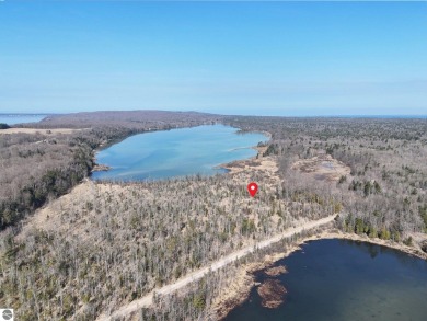 Lake Acreage For Sale in Honor, Michigan