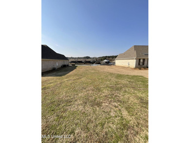 Welcome to The Shores of Lake Caroline, where luxury lakefront - photo 2
