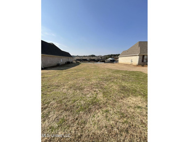 Welcome to The Shores of Lake Caroline, where luxury lakefront - photo 3