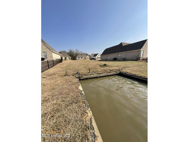 Welcome to The Shores of Lake Caroline, where luxury lakefront - photo 6