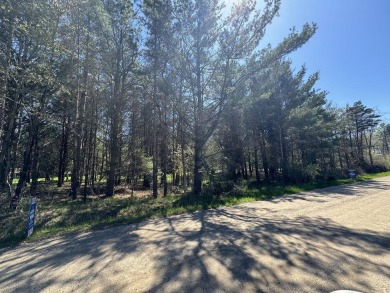 Lake Michigan - Muskegon County Lot For Sale in Montague Michigan