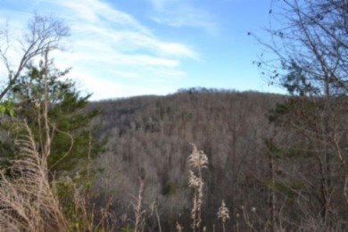 5 AC ON THE CUMBERLAND PLATEAU W/ FRONTAGE ON E. OBEY RIVER SOLD - photo 8