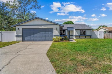 (private lake, pond, creek) Home For Sale in Bradenton Florida