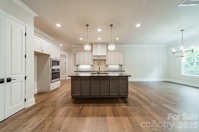 Beautiful new custom home in the Irish Creek Country Club - photo 20
