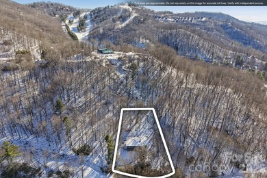 Mars Hill Reservoir Home For Sale in Mars Hill North Carolina