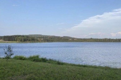 Lake Lot For Sale in Wallagrass, Maine