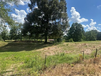 Looking for pasture land? Here you go! This property is fenced - photo 1
