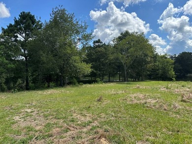 Looking for pasture land? Here you go! This property is fenced - photo 5