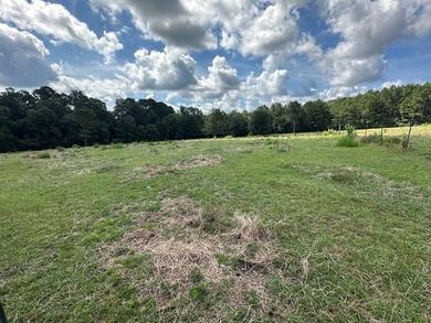 Looking for pasture land? Here you go! This property is fenced - photo 6