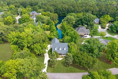Welcome to this stunning Charleston-style traditional home - photo 40
