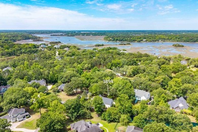 Welcome to this stunning Charleston-style traditional home - photo 42