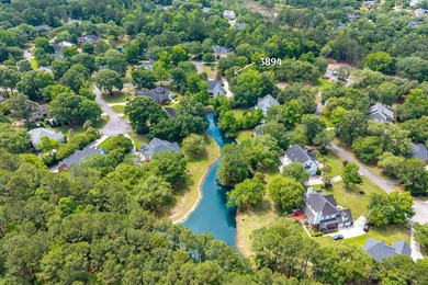 Welcome to this stunning Charleston-style traditional home - photo 43