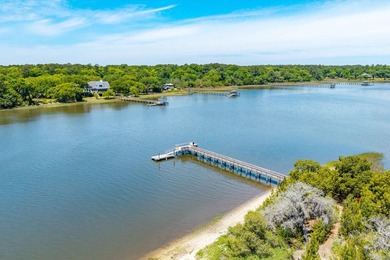 Welcome to this stunning Charleston-style traditional home - photo 50