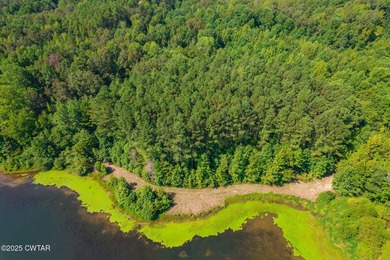 65 acres of prime, wooded land with direct frontage water views - photo 14