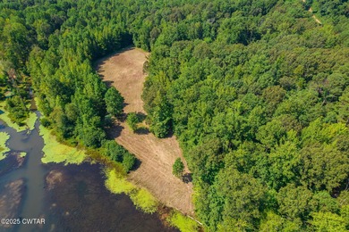 65 acres of prime, wooded land with direct frontage water views - photo 15