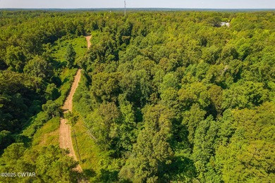65 acres of prime, wooded land with direct frontage water views - photo 16